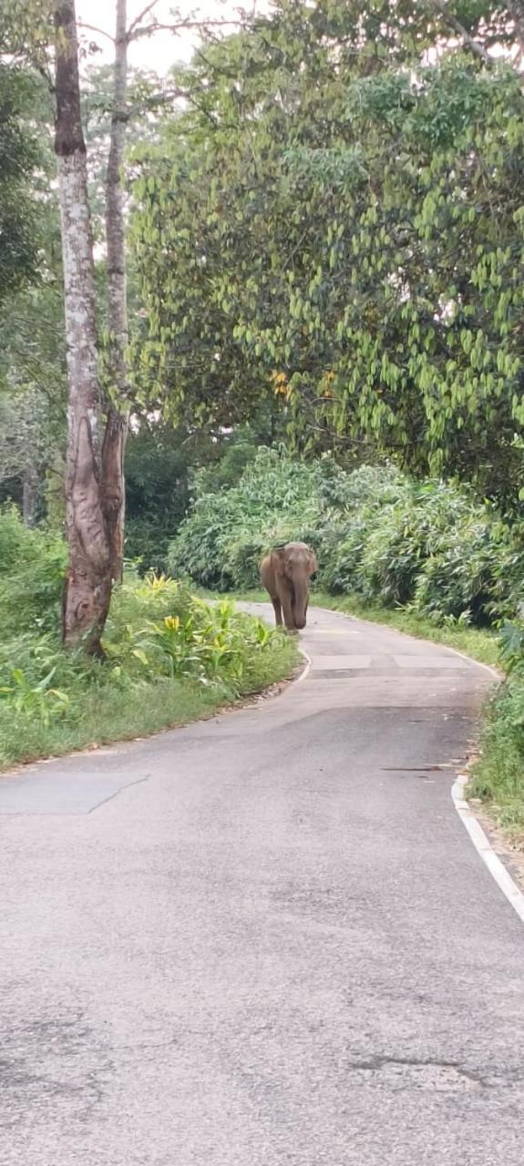 Skyview Villa Athirappilly Bagian luar foto